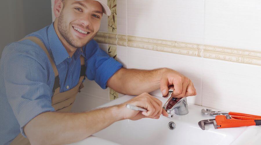Professional Leak Detection Services services in Dalbo, MN